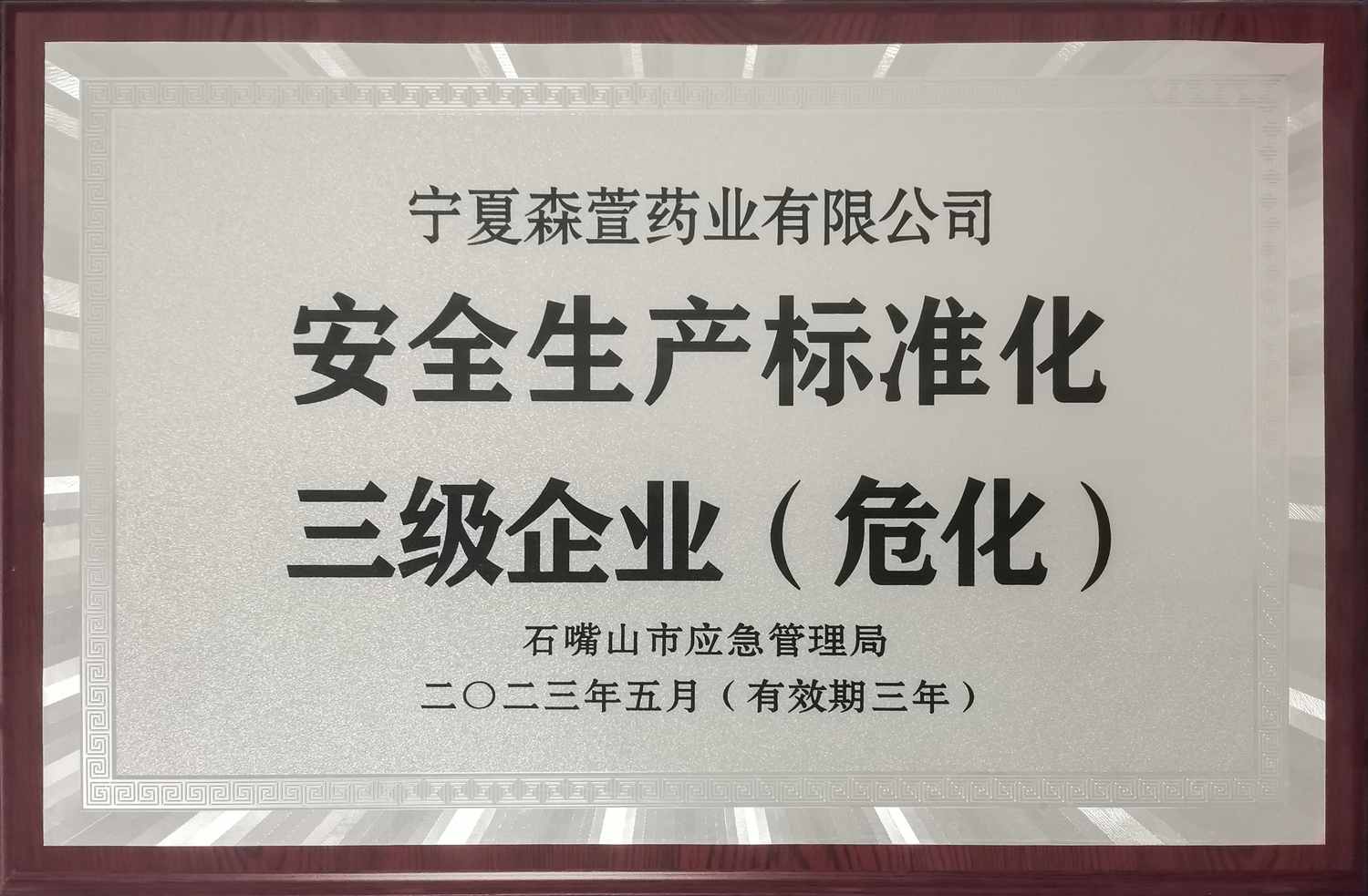 宁夏森萱药业有限公司 安全生产标准化三级企业（危化）